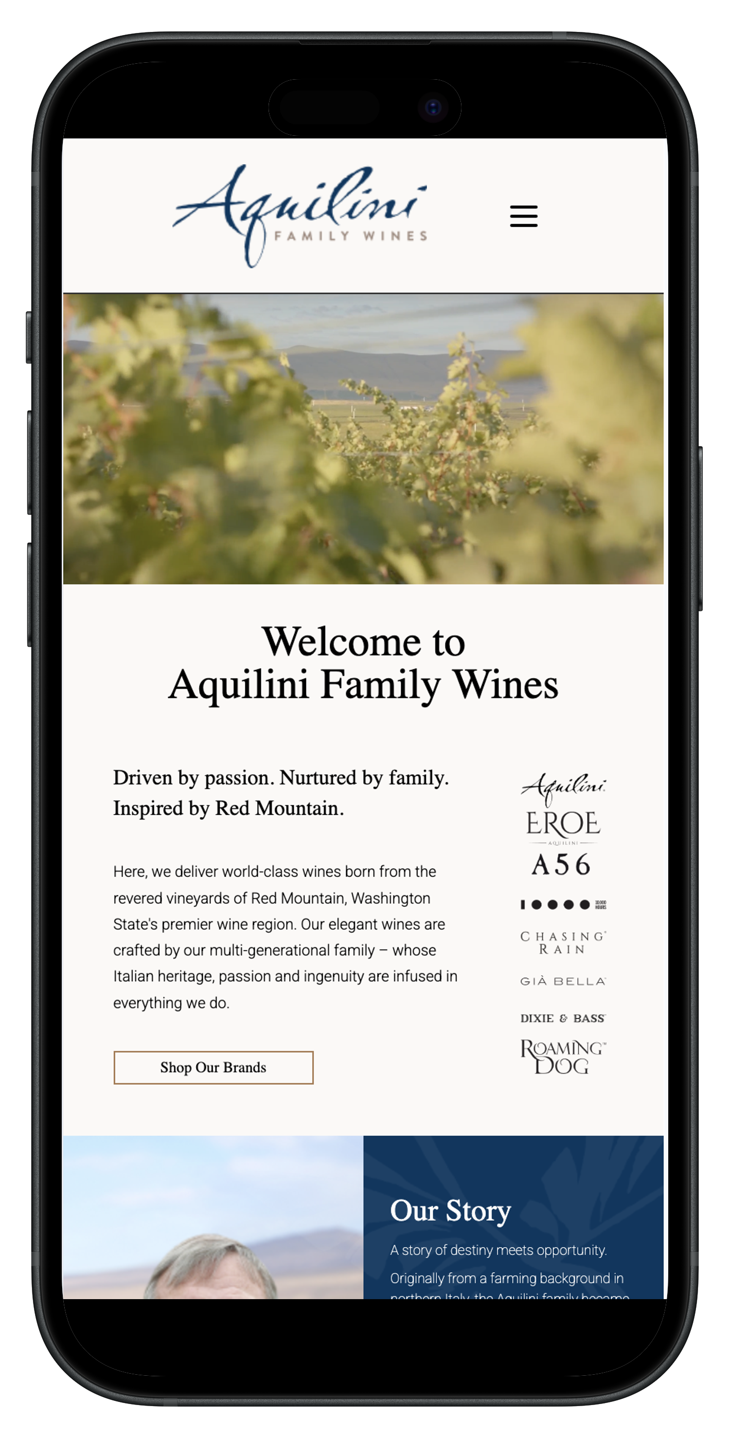 Aquilini Wines